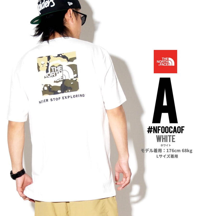 ノースフェイス Tシャツ メンズ 半袖 ロゴ プリント THE NORTH FACE 大きいサイズ USモデル