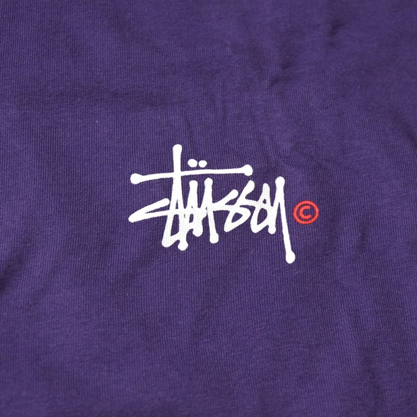 Stussy ステューシー ロングtシャツ Sytt024